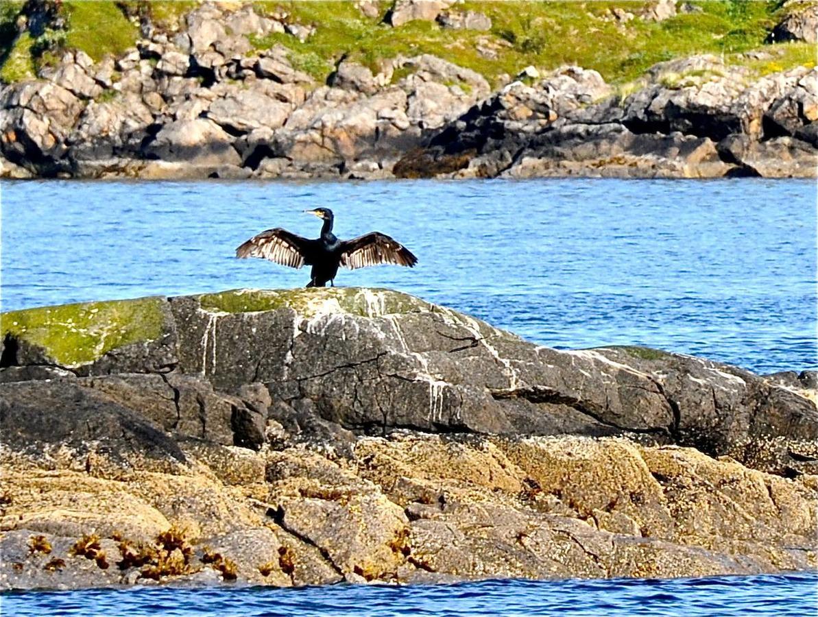 Toftenes Sjohuscamping Alsvag Luaran gambar